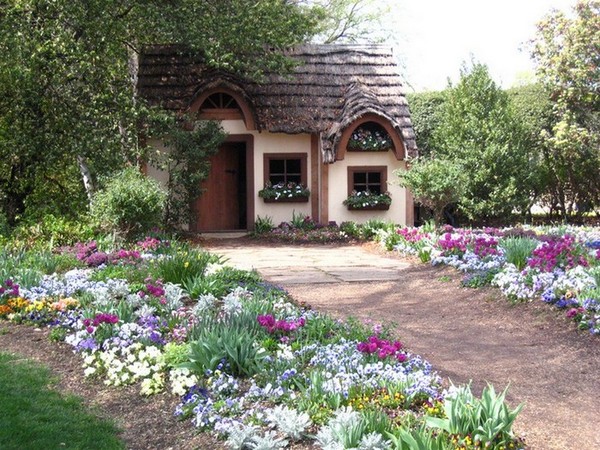 Choosing Beautiful Flowers for Your Summer Garden: Tips for Long‑Lasting Blooms